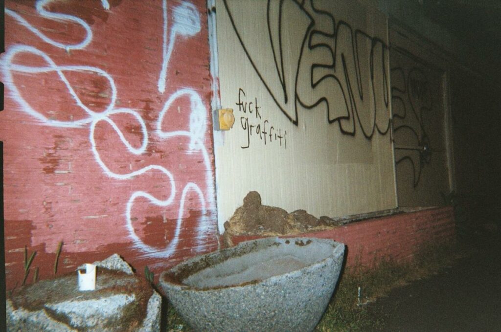 2013 Seattle Disposable Camera Photos