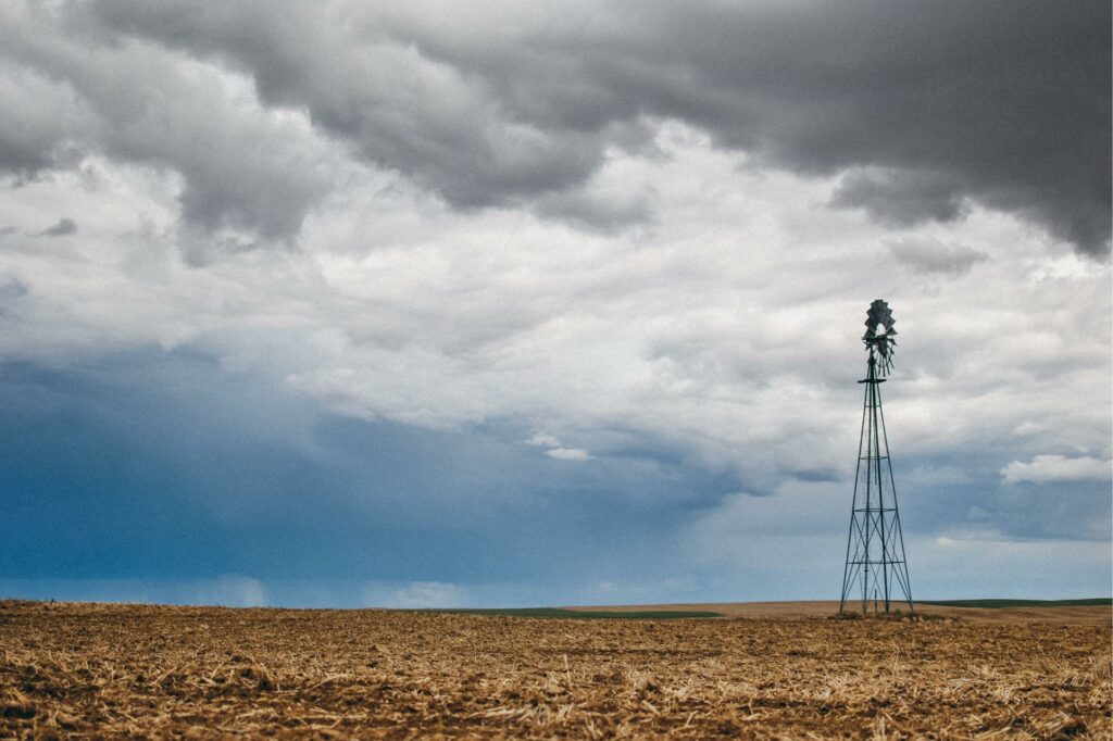 2013 Washington Palouse