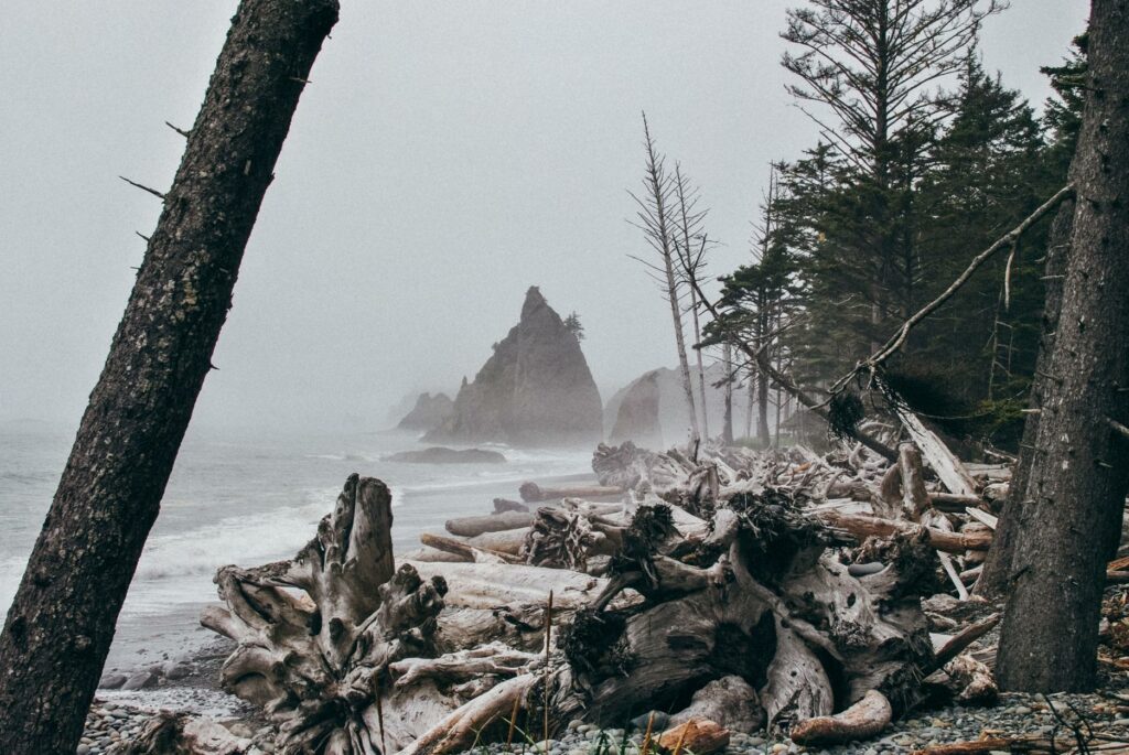 2013 Rialto Beach