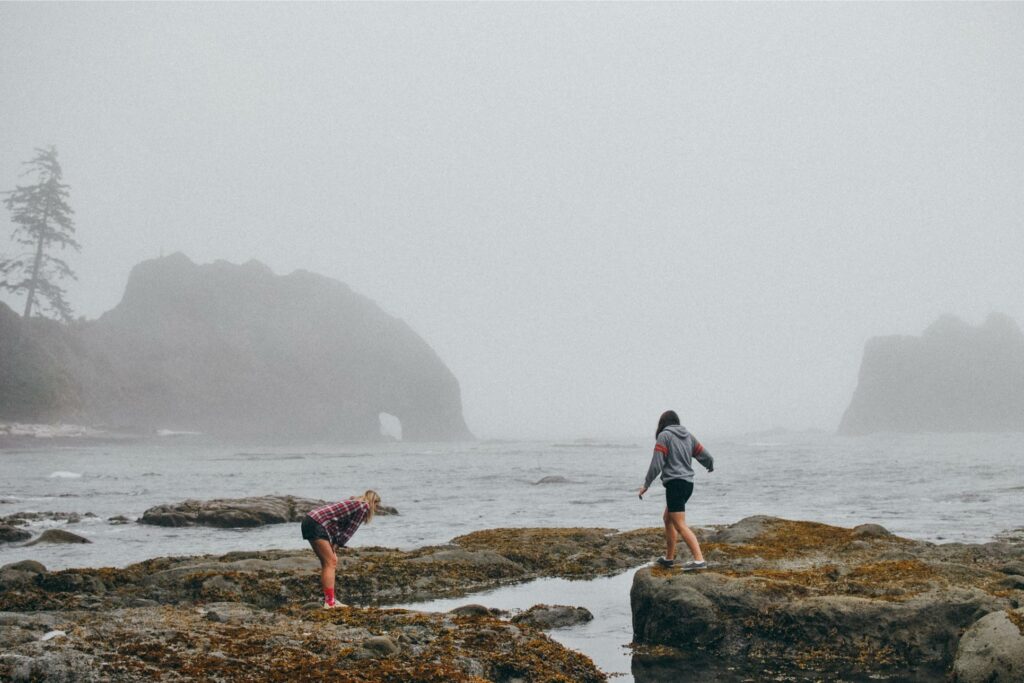 2013 Rialto Beach