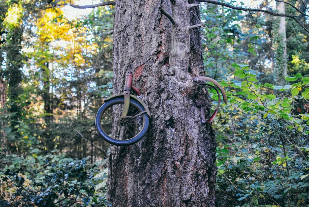 2013 Vashon Island Tree Bike