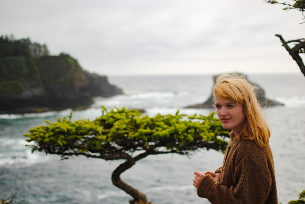 2014 Cape Flattery Tree