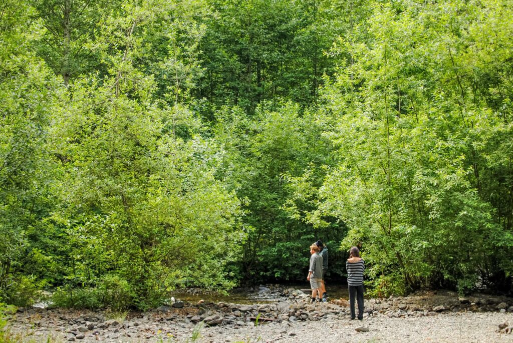 2014 Lake Cushman Camping Spot