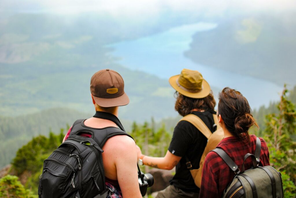 2014 Mount Ellinor Lookout