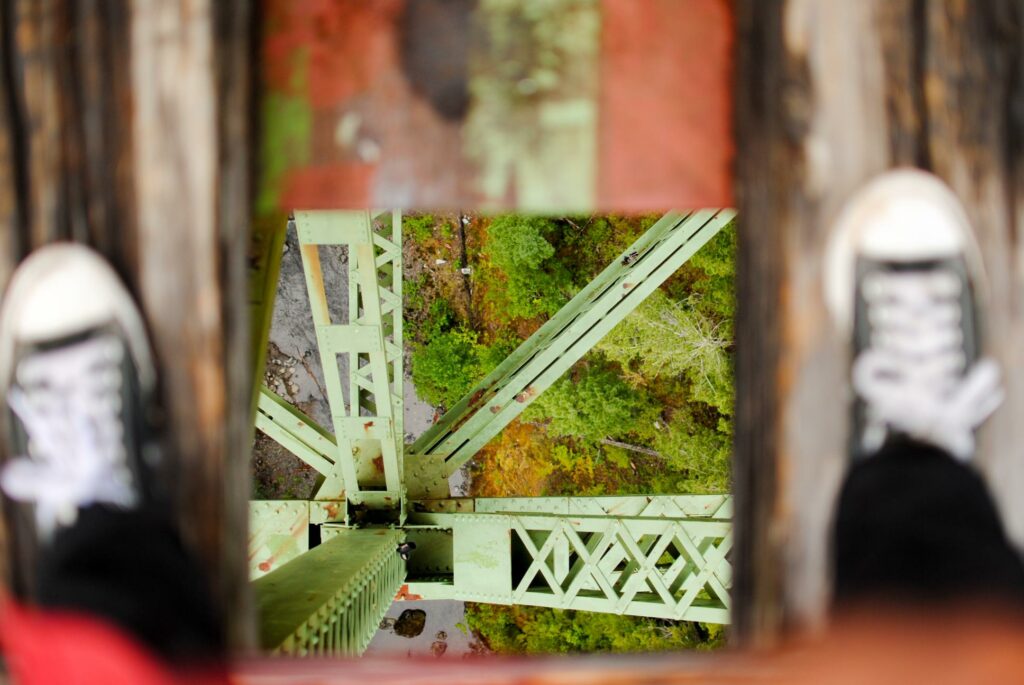 2014 Vance Creek Bridge Standing On Beams