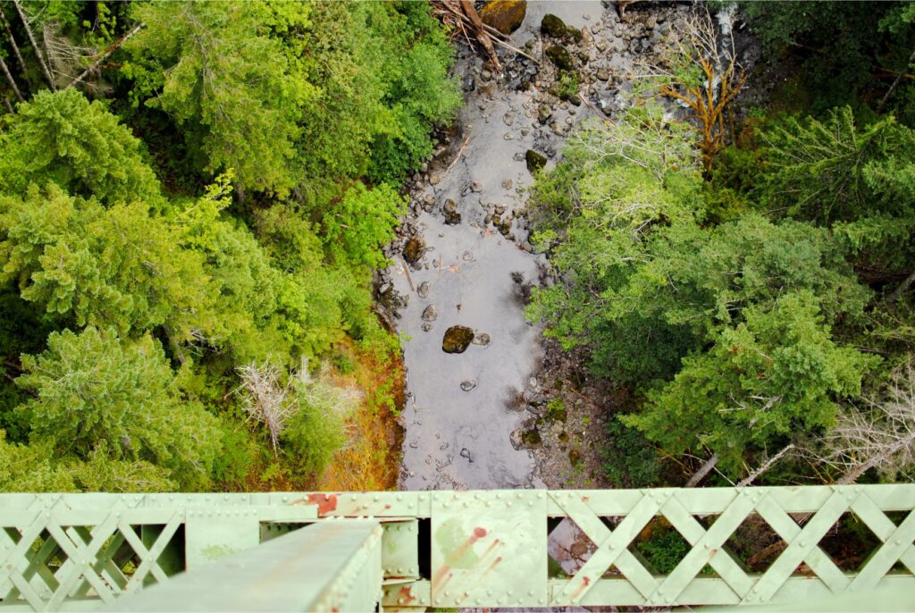 2014 Vance Creek Bridge Above View