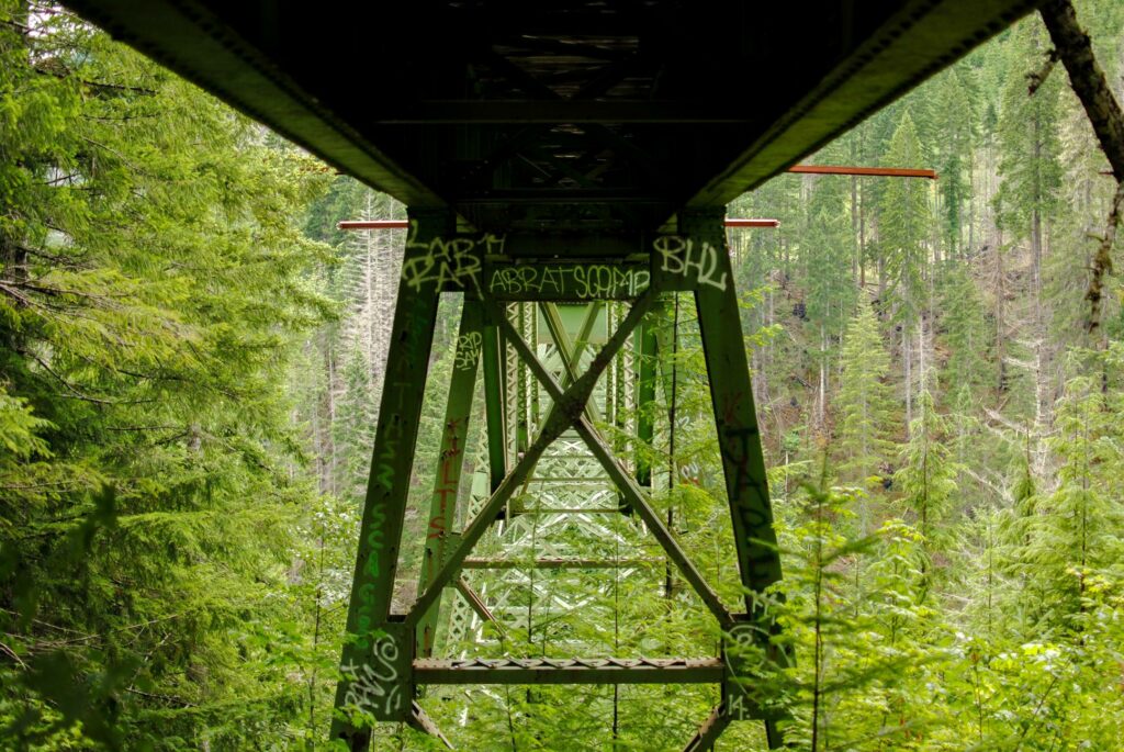 2014 Vance Creek Bridge Underneath