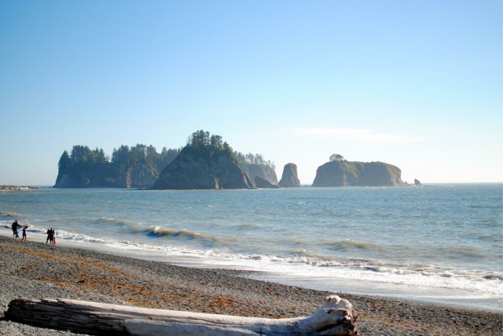 2014 - Rialto Beach Rock Formation