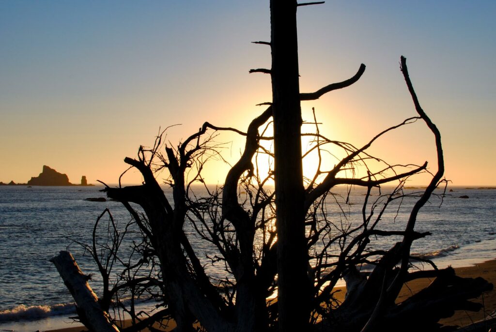 2014 - Rialto Beach Sunset