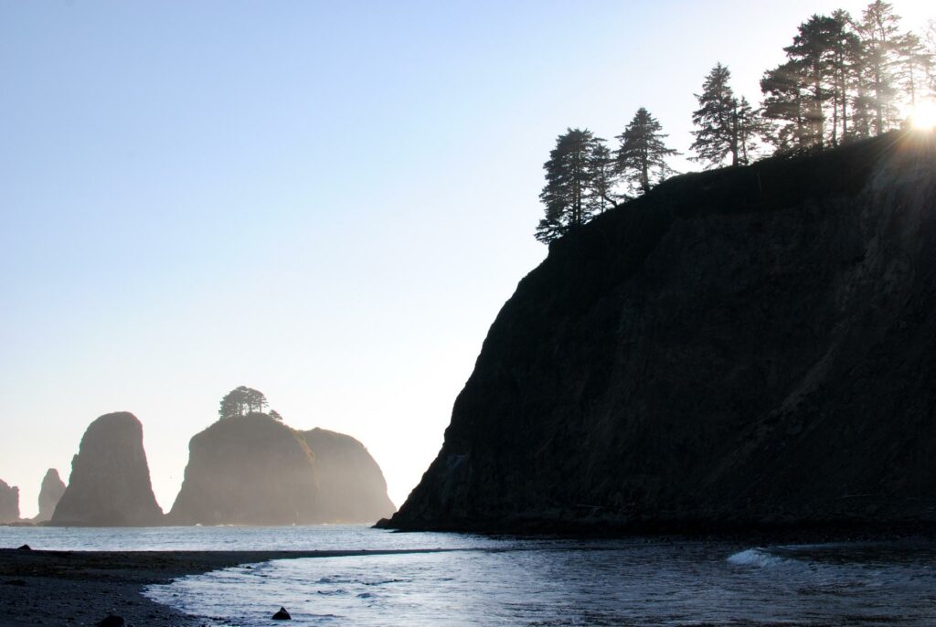 2014 - Rialto Beach Tree Rocks