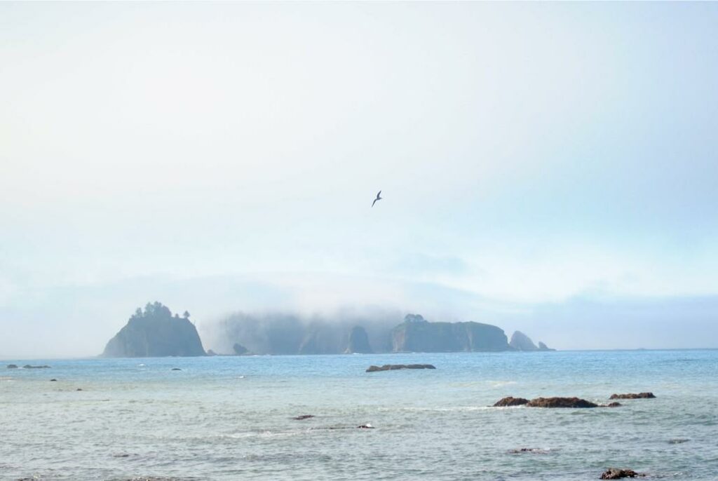 2014 Rialto Beach Mist Rocks