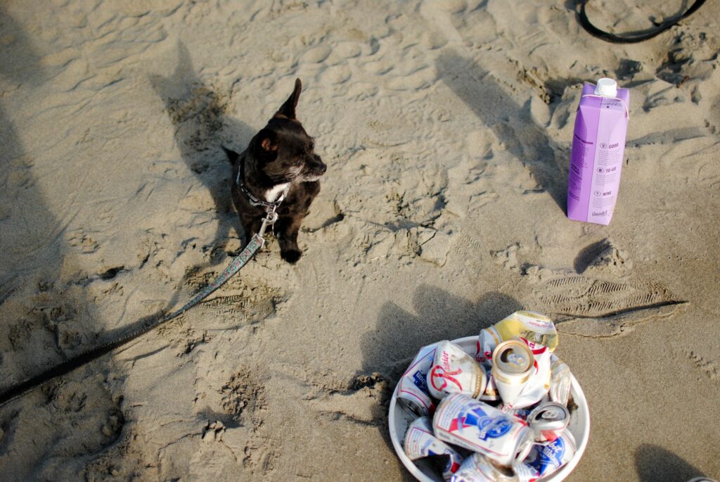 2014 Grayland Beach Dog and beer