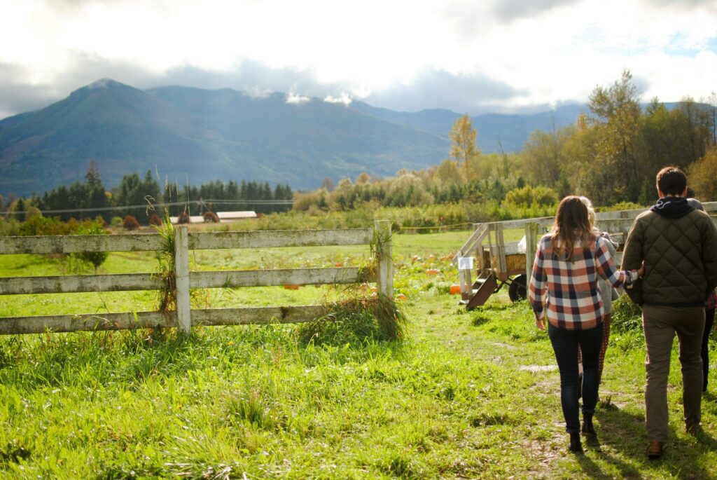 2014 Washington Orchard