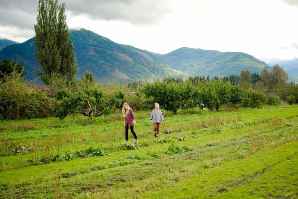 2014 Washington Orchard 2