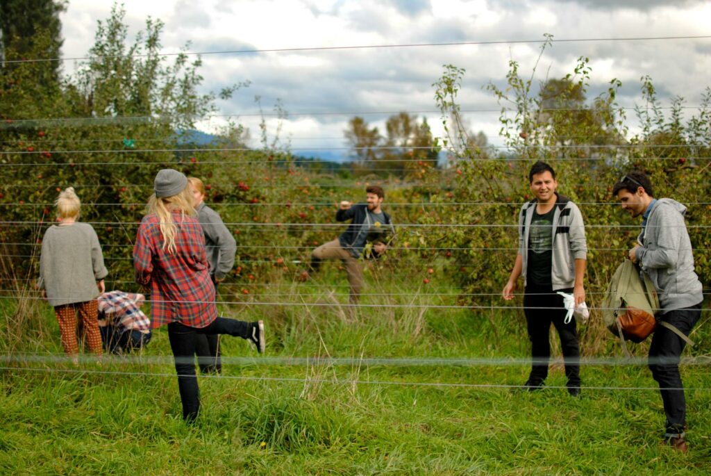 2014 Washington Orchard Apples 13