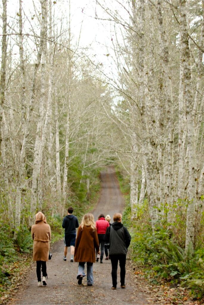 2014 November Cabin Tree Walk