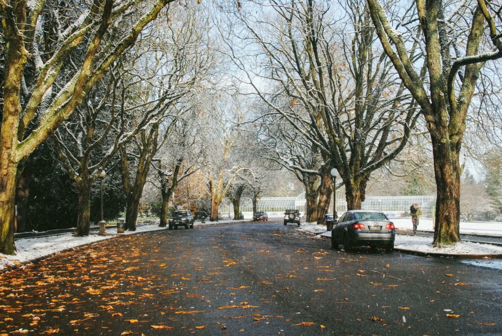 2014 - Winter Snowy Volunteer Park