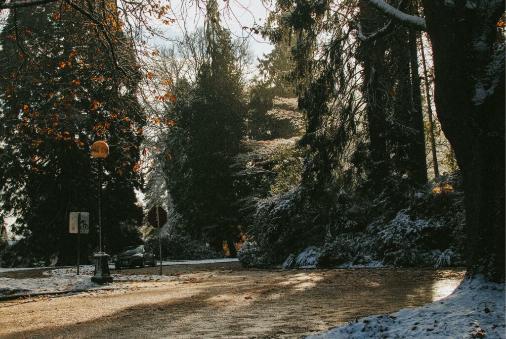 2014 - Winter Snowy Volunteer Park