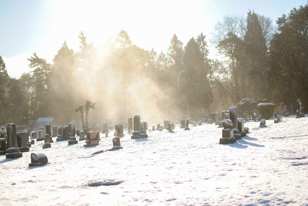 2014 - Winter Snowy Graveyard