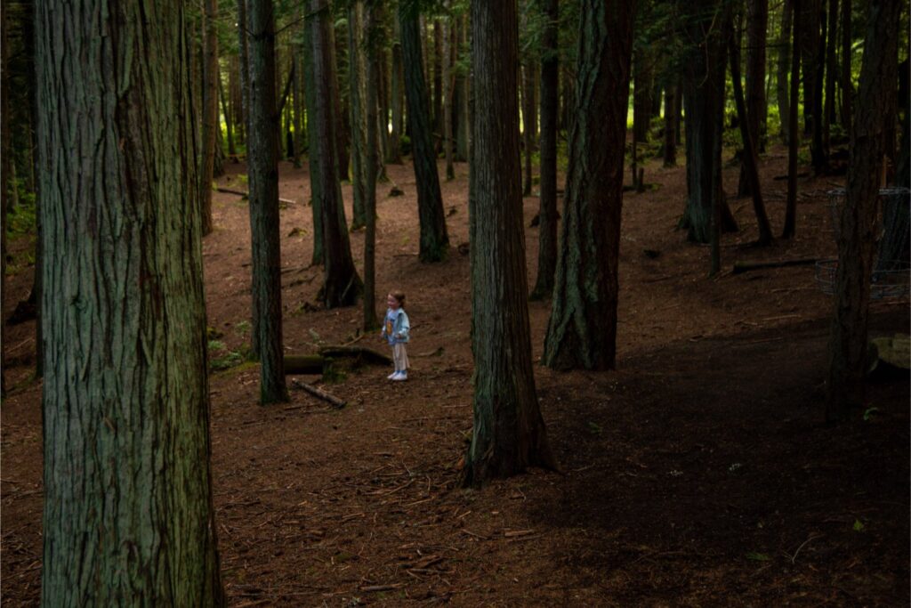 2024 - HJ Park Woods