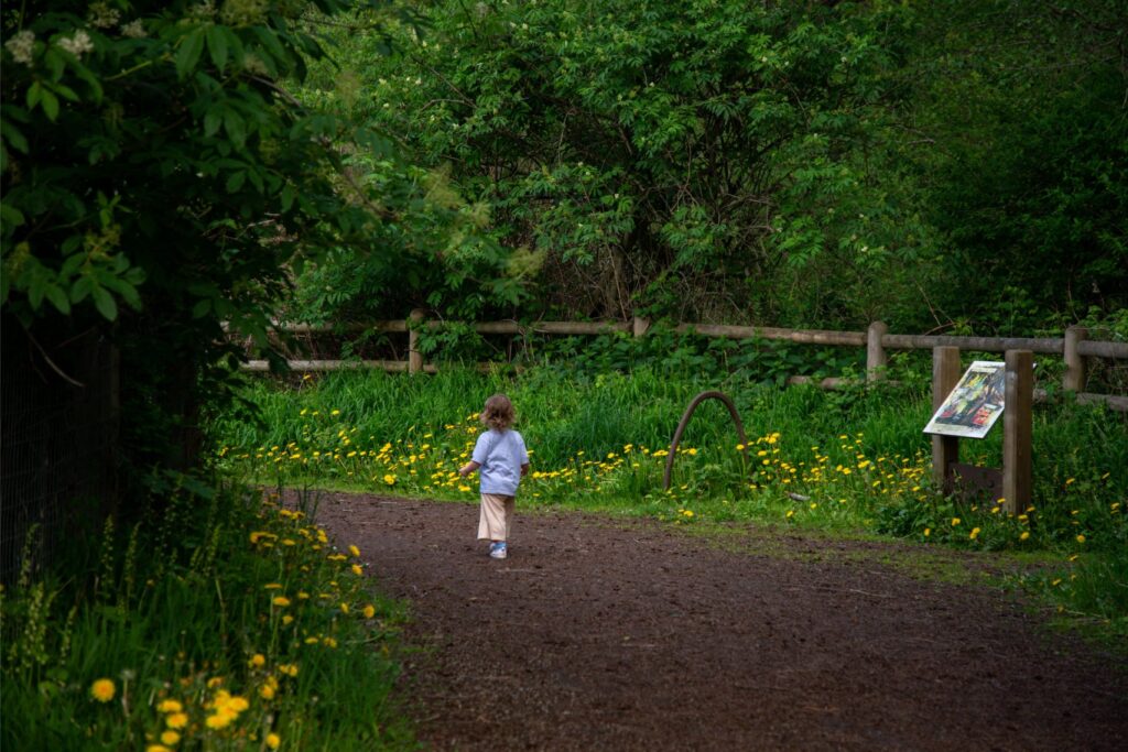 2024 - HJ Park Woods 2