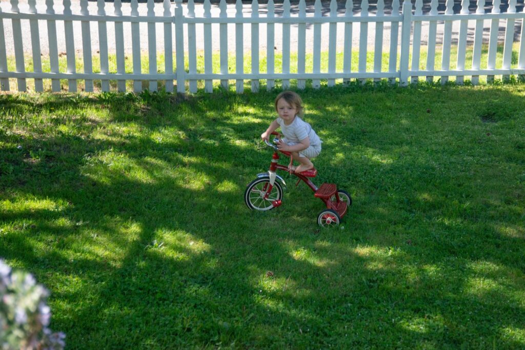 2024 - Spring Trike