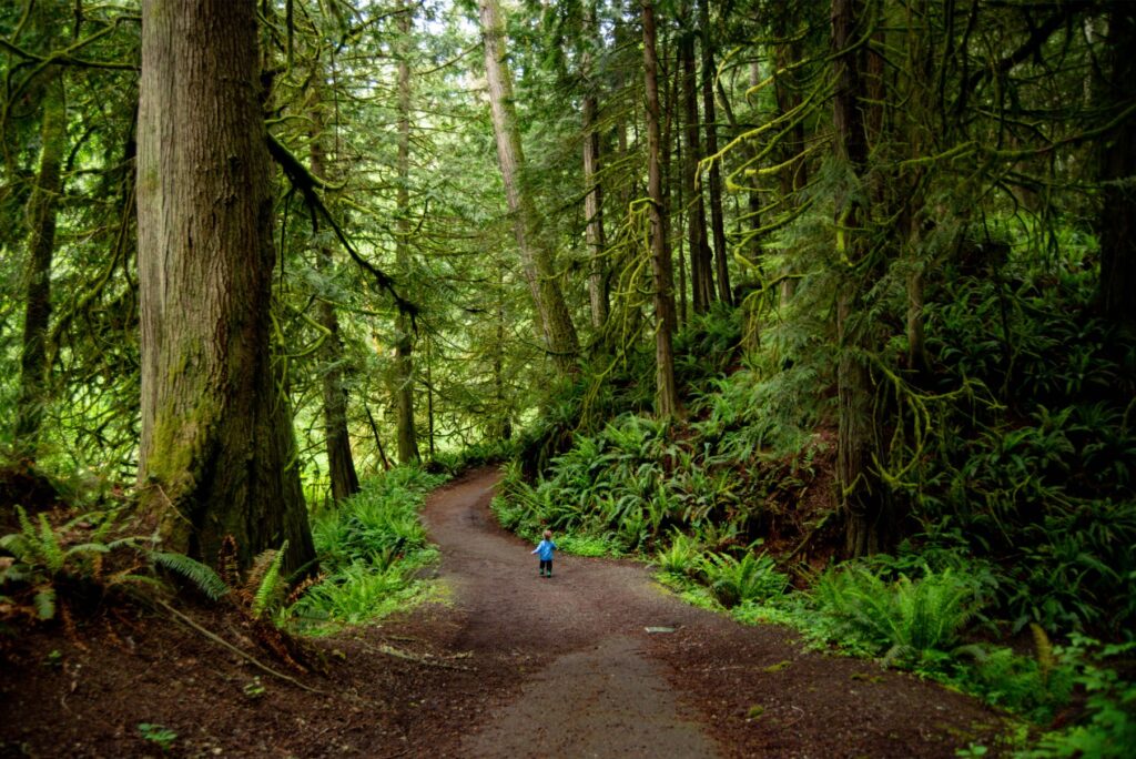 2024 - Port Townsend Spring Hike 5