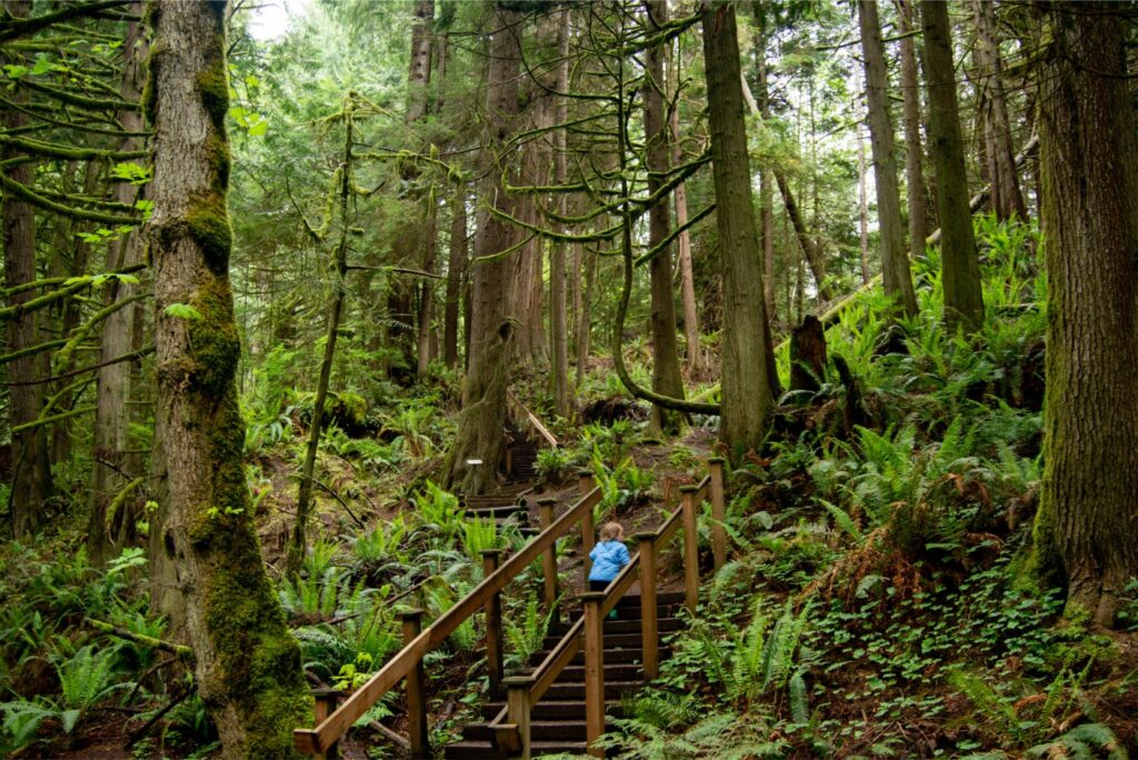 2024 - Port Townsend Spring Hike 6