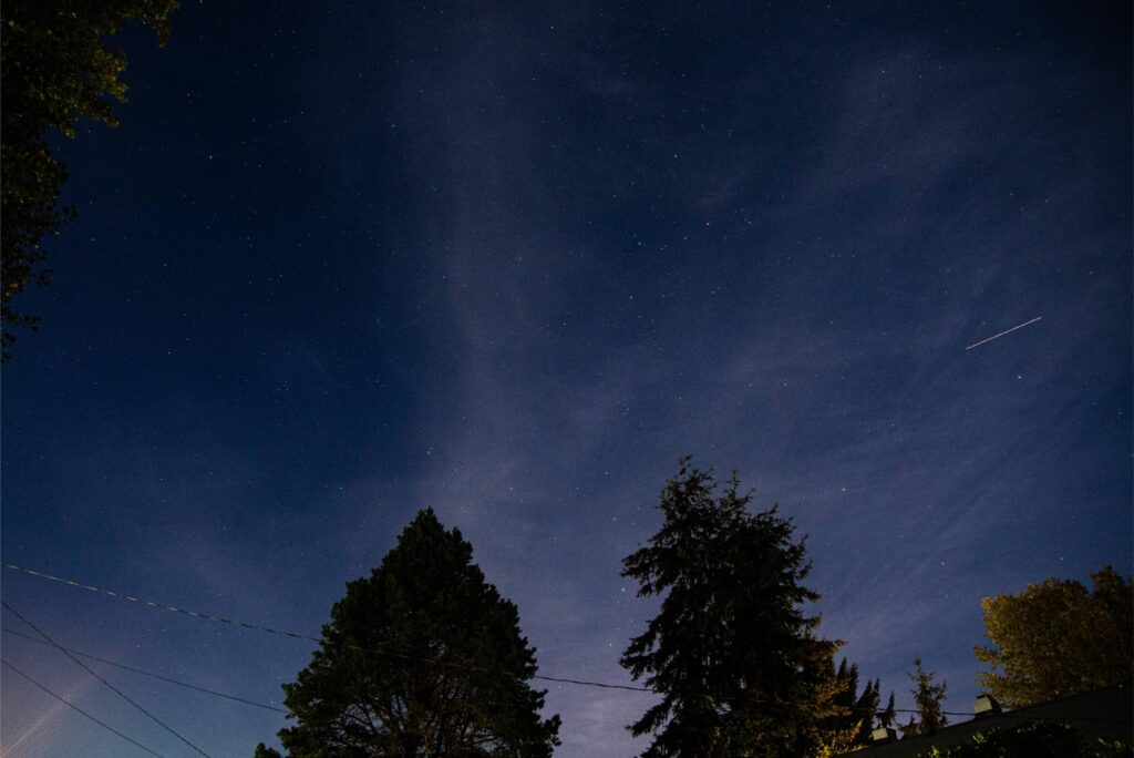 2024 - The Night Sky