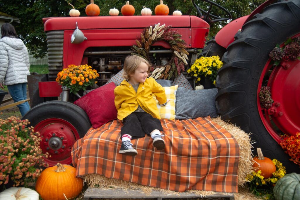 2024 - Pumpkin Patches 12