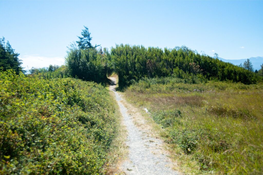 2024 - Dungeness Hike 2