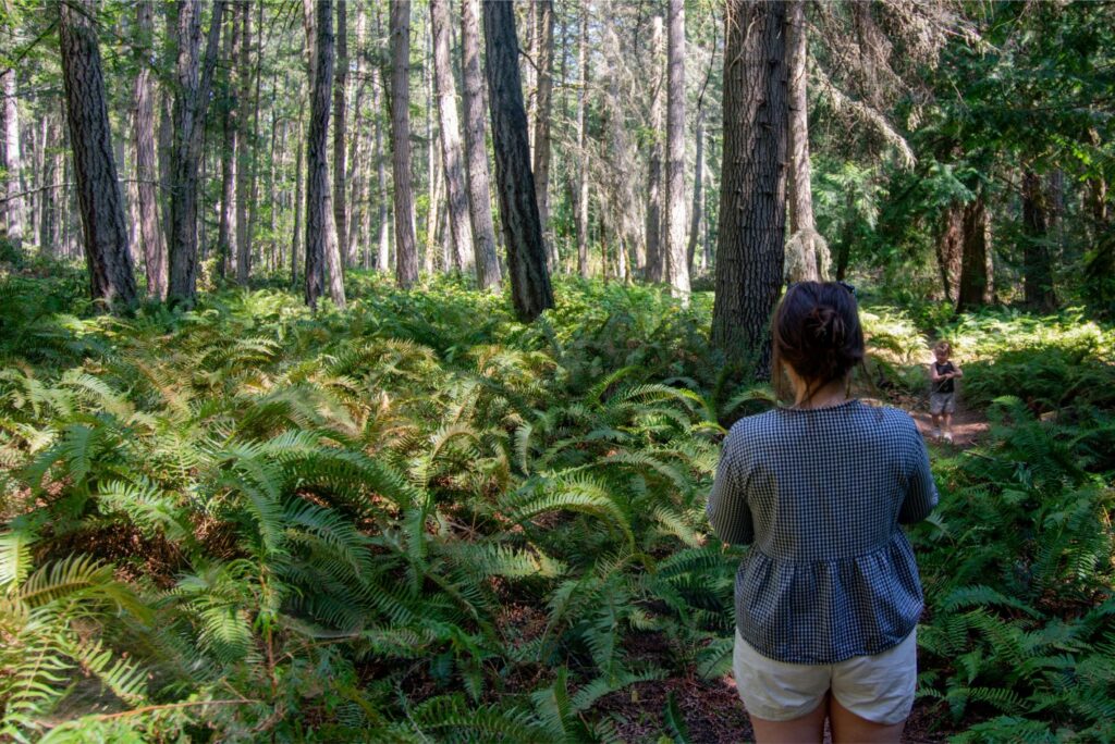 Washington Peninsula Hike - 4