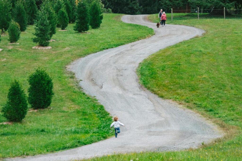 2024 - November Whidbey Island 4