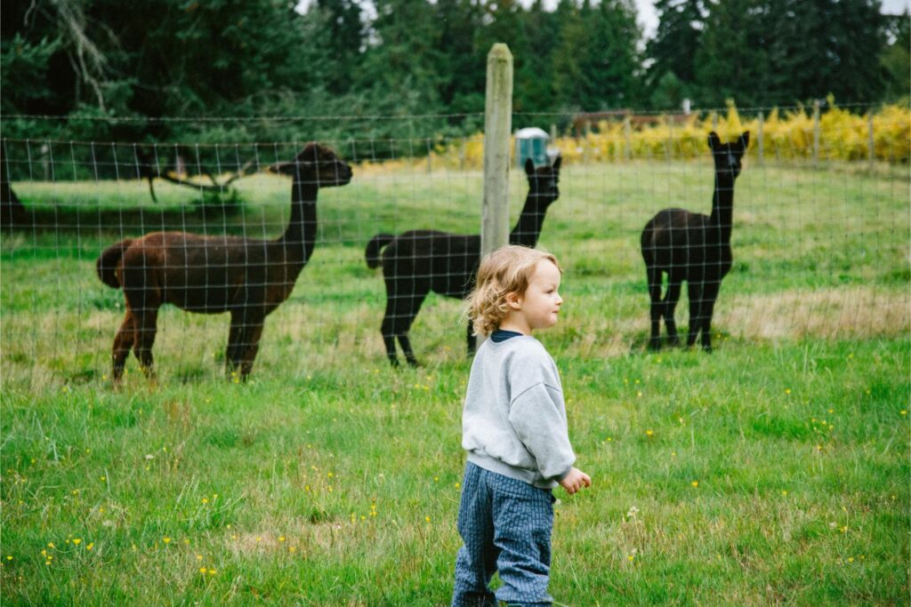 2024 - November Whidbey Island 5