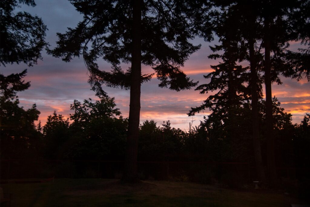 2024 - November Whidbey Island 6