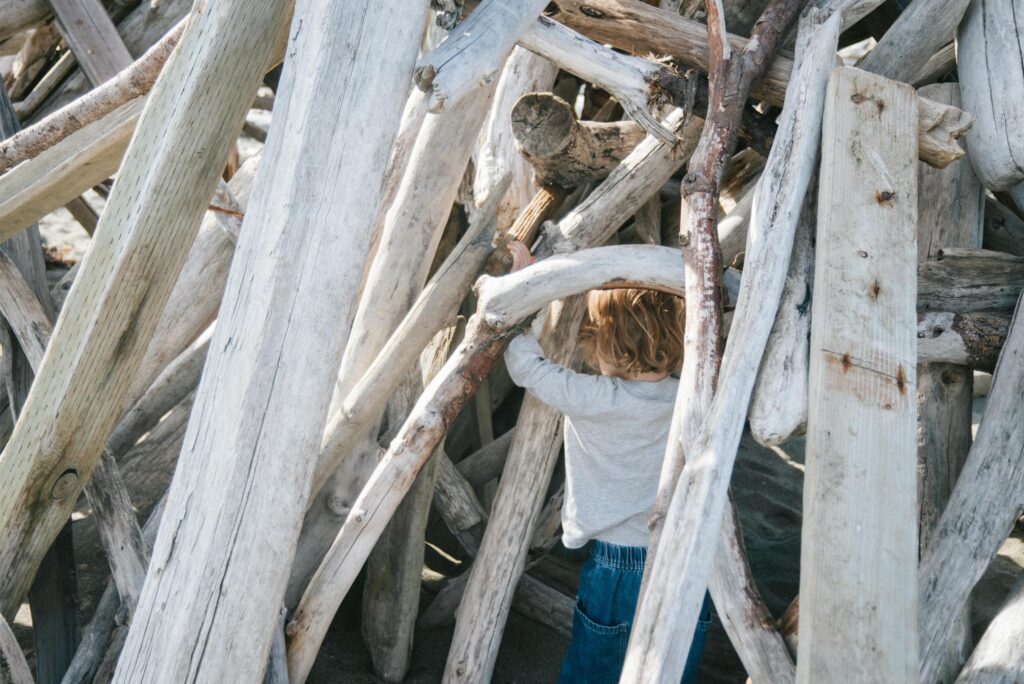 2024 - November Whidbey Island Beach 30