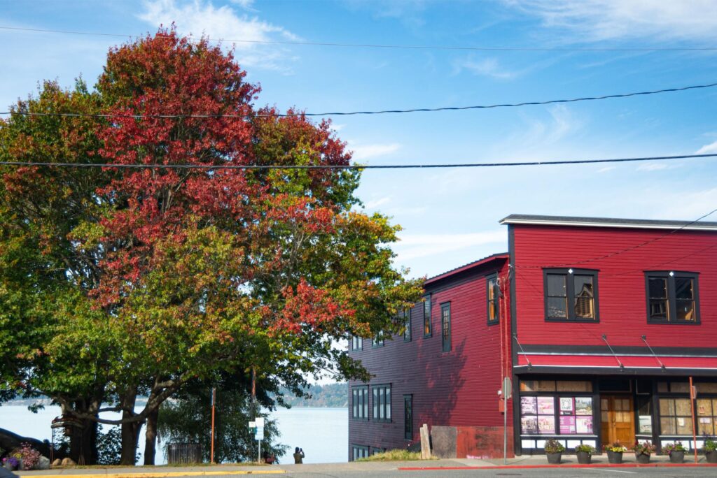 2024 - November Whidbey Island 35