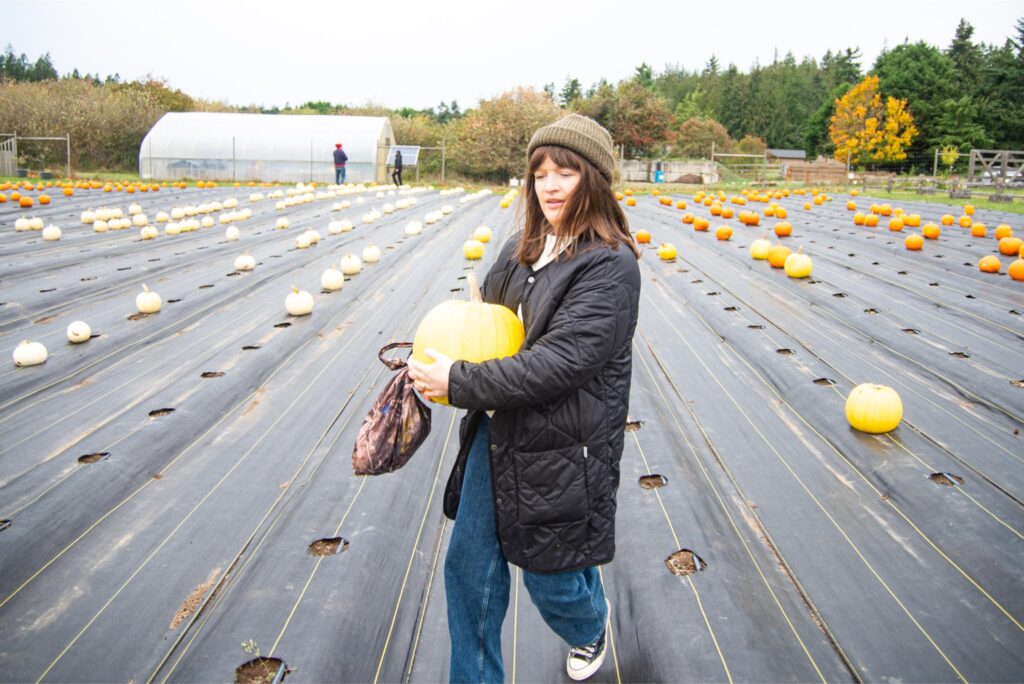 2024 - Pumpkin Patches 3