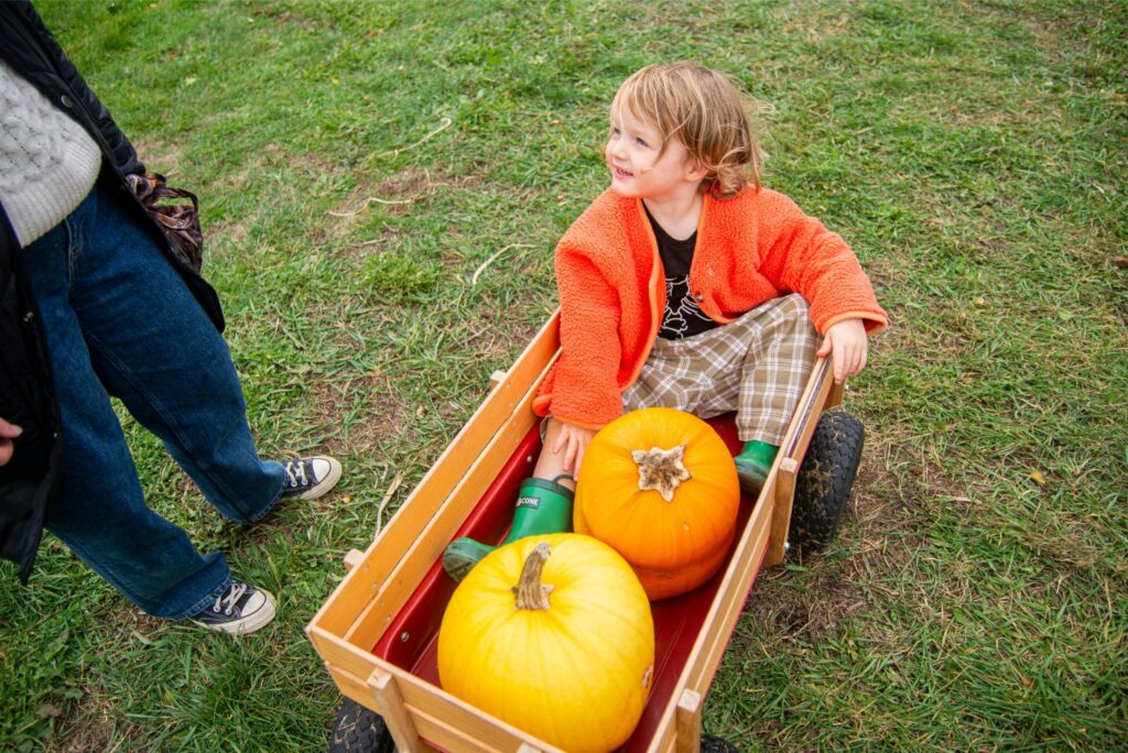 2024 - Pumpkin Patches 4