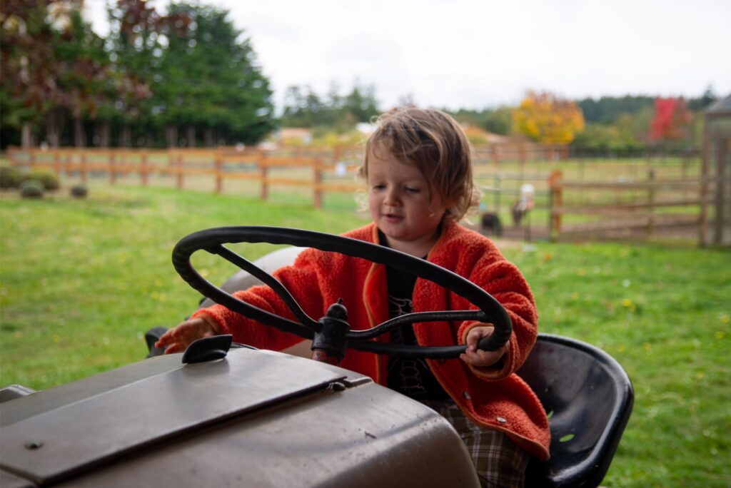 2024 - Pumpkin Patches 9