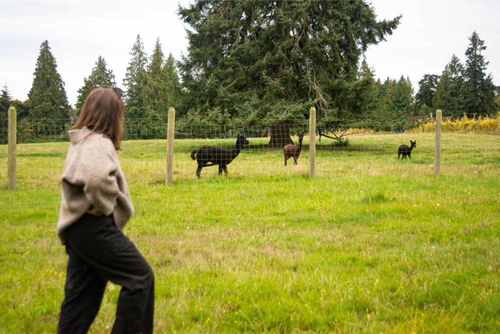 2024 - November Whidbey Island 2