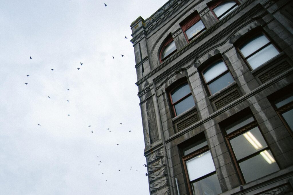 2024 - Port Townsend Halloween Parade 18