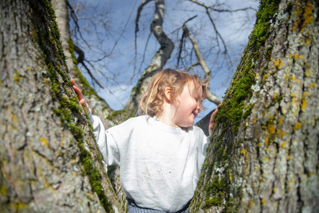 2024 - Christmas Time Fort Warden 11