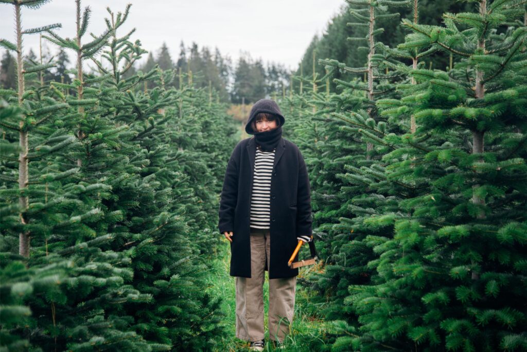 2024 - Christmas Trees 5