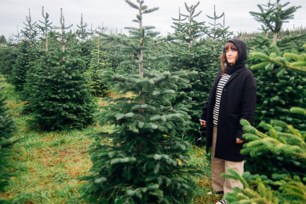 2024 - Christmas Trees 10