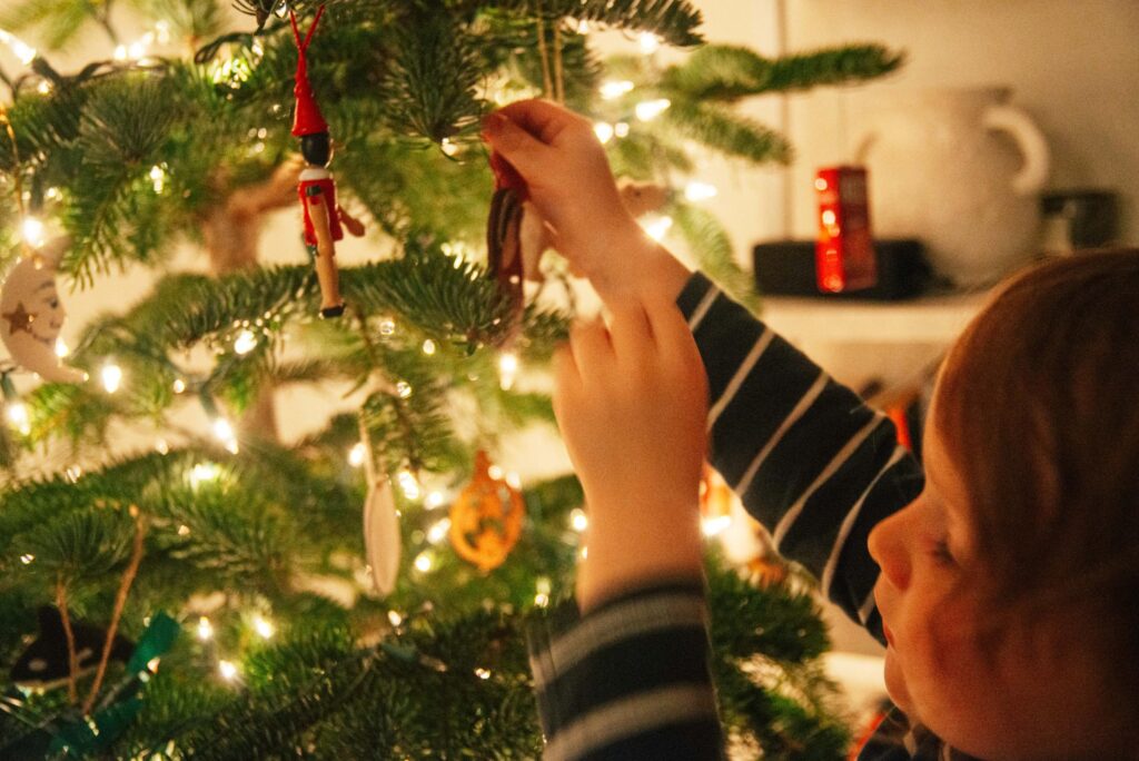 2024 - Christmas Trees 17