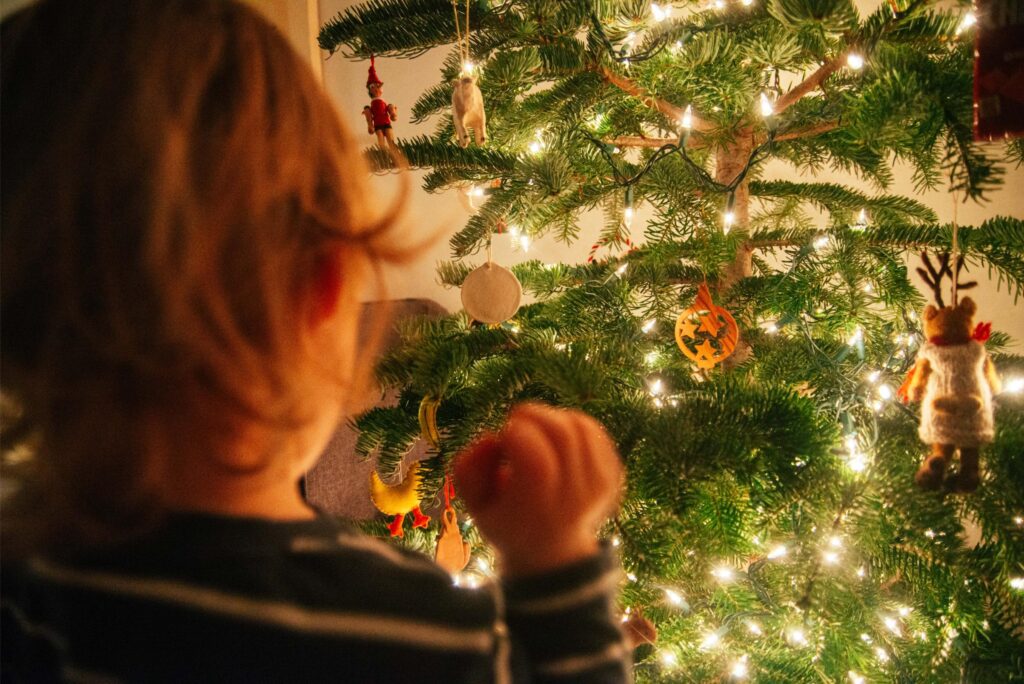 2024 - Christmas Trees 20