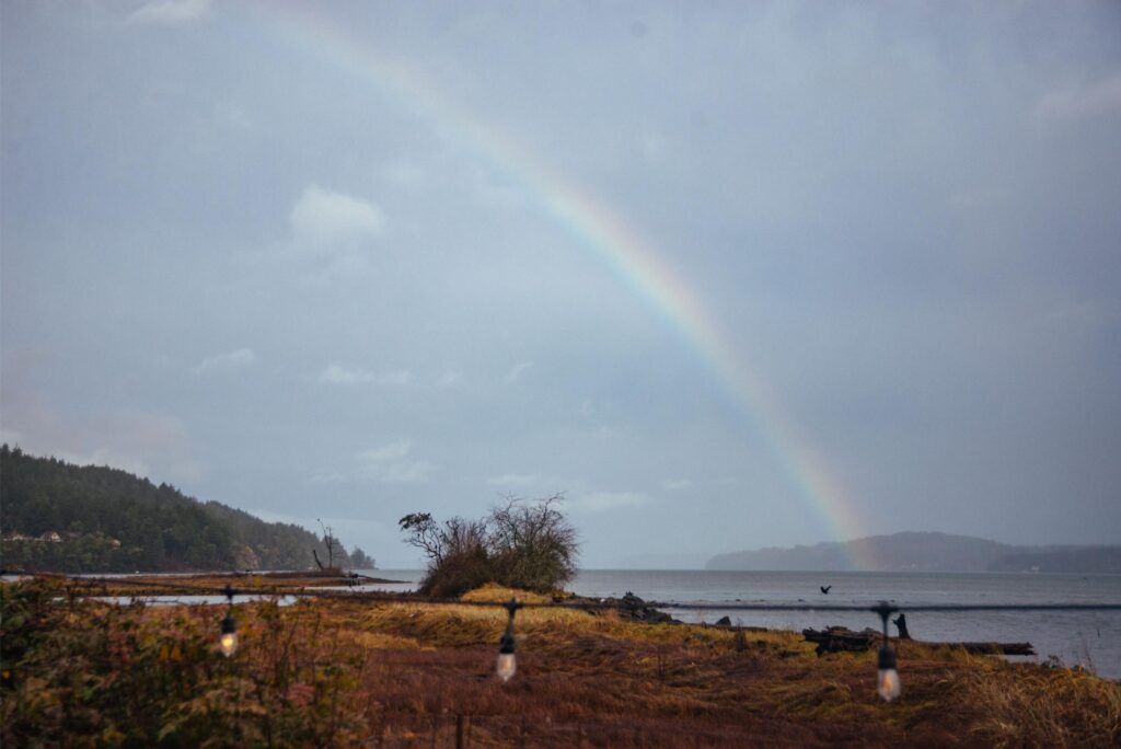 2024 - Hama Hama Oysters 8