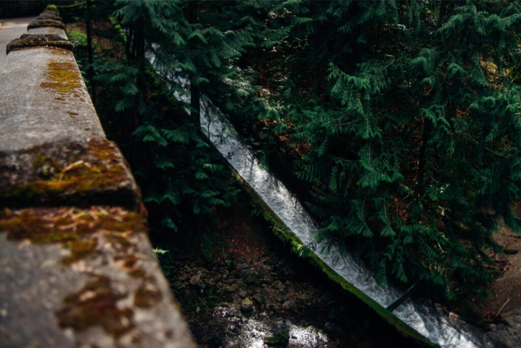 2025 - Bellingham Trip 15