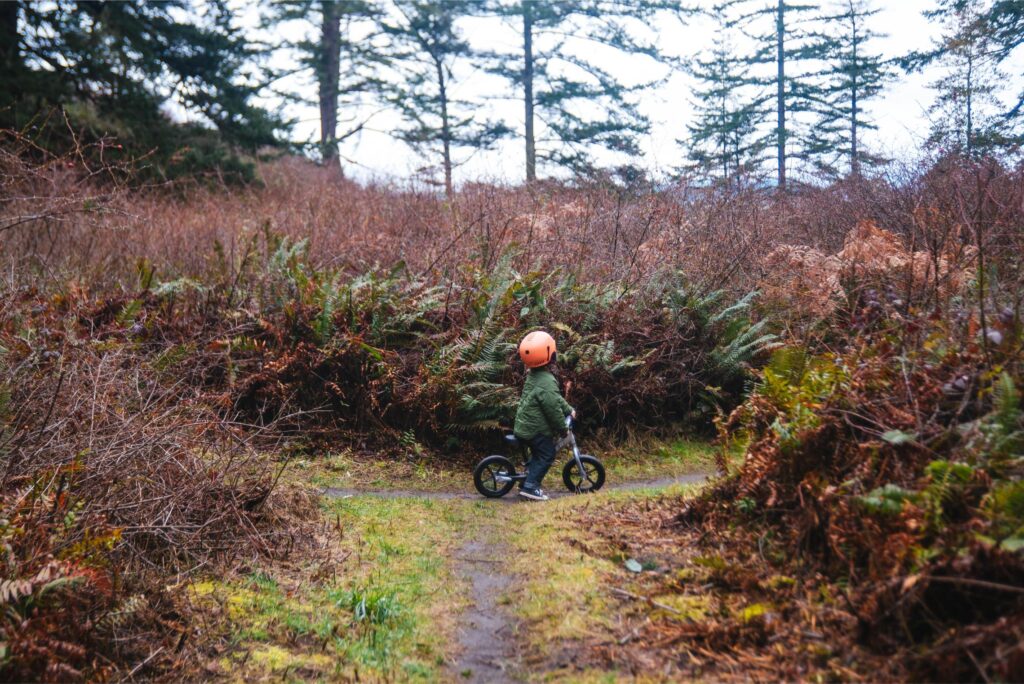 2025 - Late Winter/Early Spring In Port Townsend 4